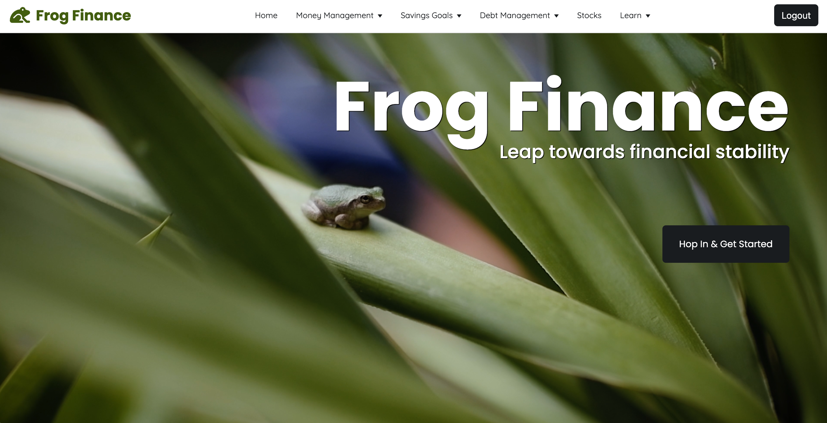 Image of frog finance app