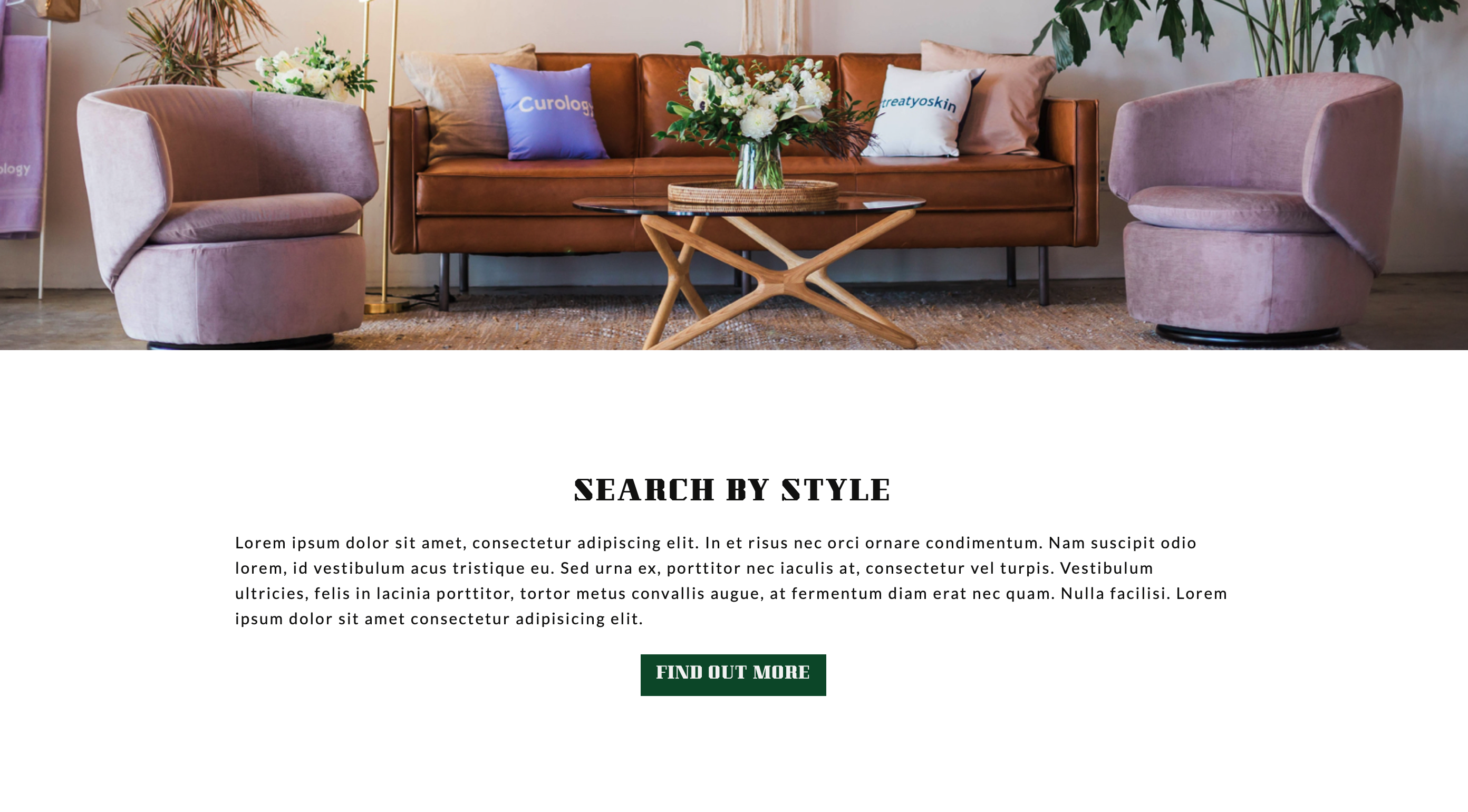 Image of a couch website